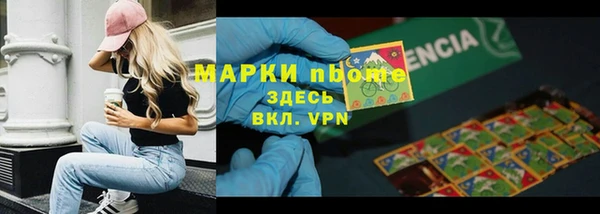 прущий лед Богданович