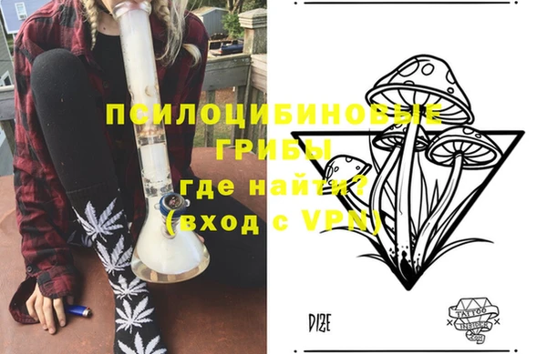 МДПВ Белокуриха
