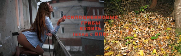 MDMA Premium VHQ Богородск