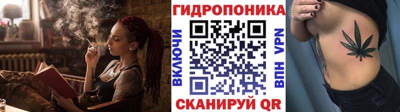 Конопля гибрид  Циолковский 